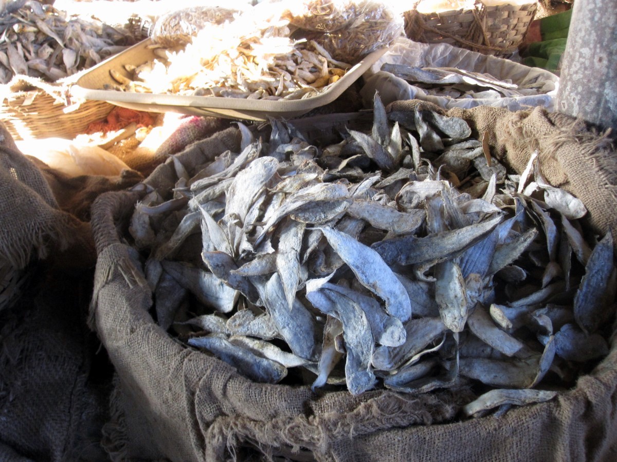 Mangalore Mangalore Mangalore Dry Fish Market